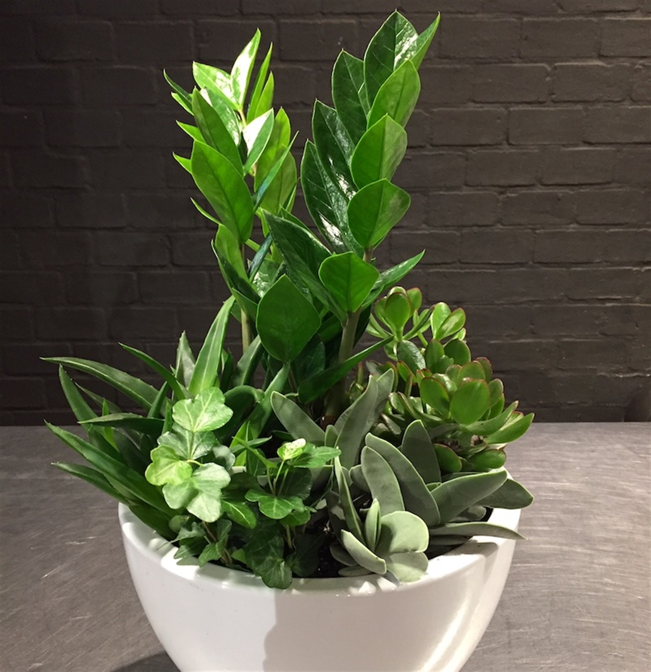 Plantenarrangement