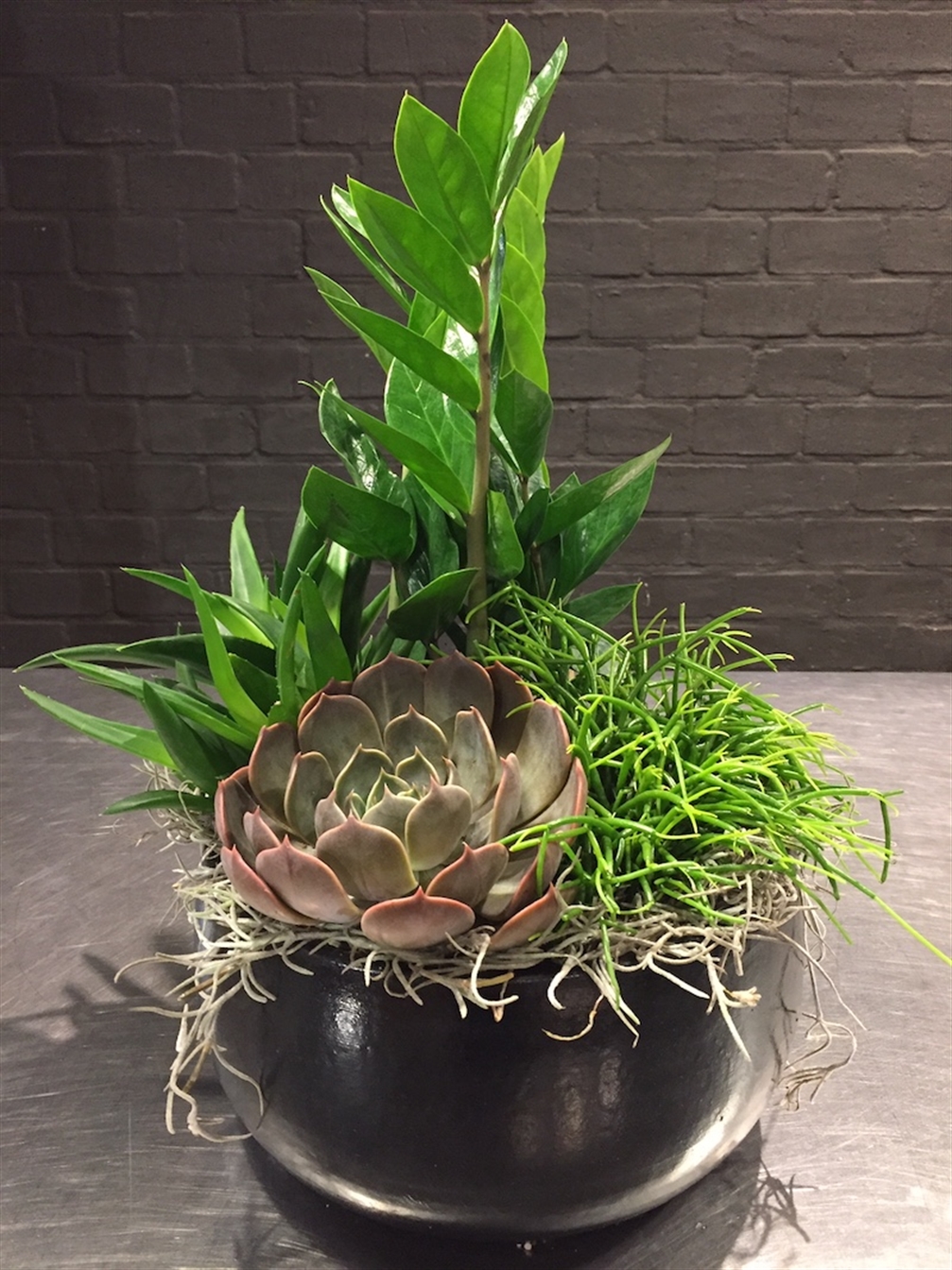 Plantenarrangement